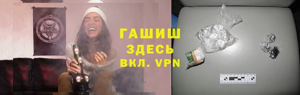 стаф Алексин
