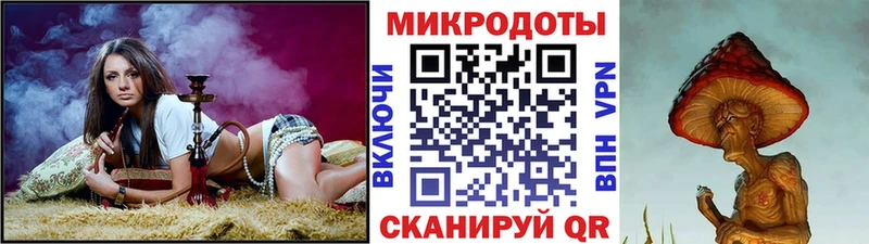 где купить наркоту  гидра онион  Псилоцибиновые грибы Magic Shrooms  Жуковка 